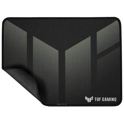 ASUS TUF Gaming P1