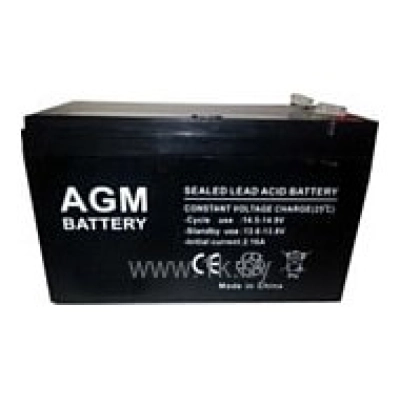 AGM Battery GP 1245